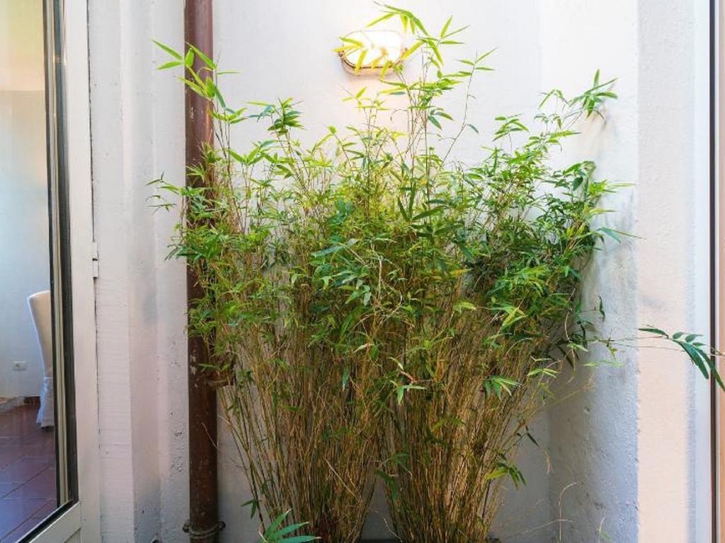 Apartamento Garibaldi Roof Garden Roma Exterior foto